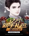 亿万新手礼包一键999级