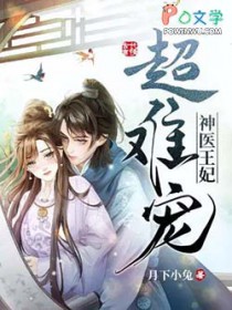 神医王妃超难宠